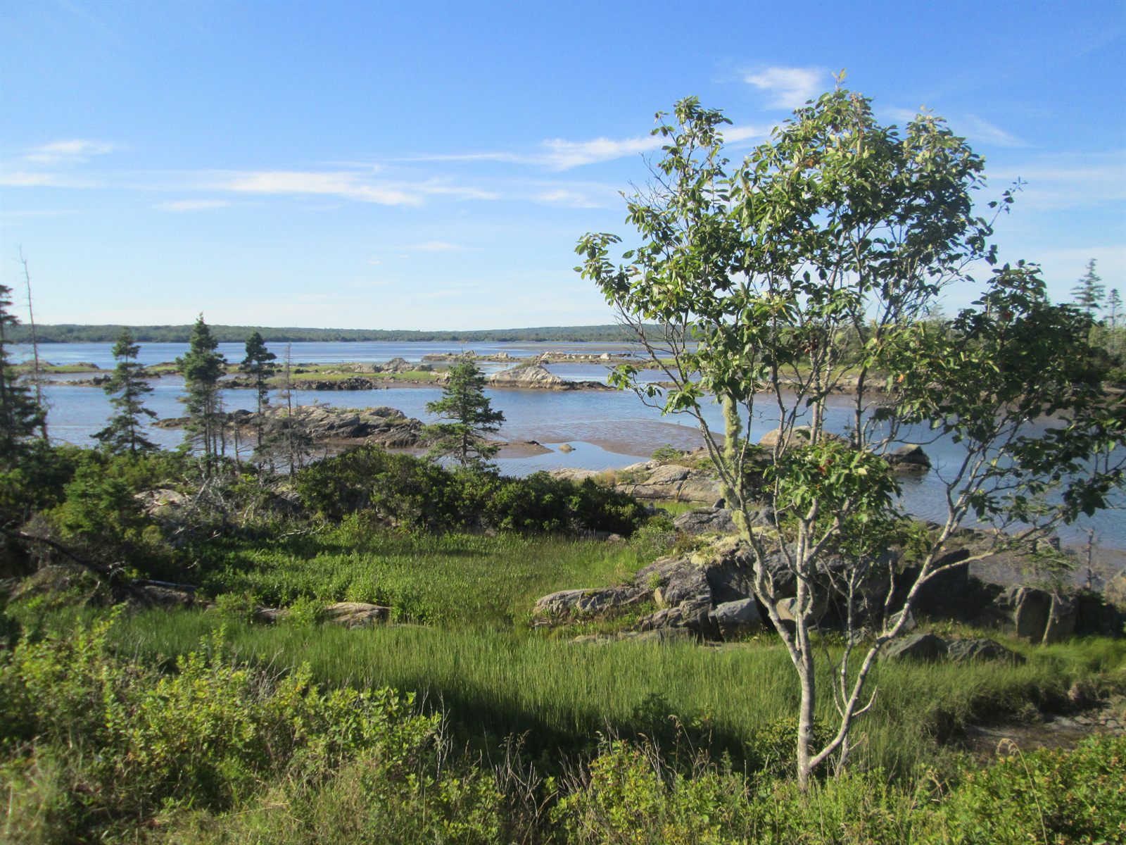Cole Harbour