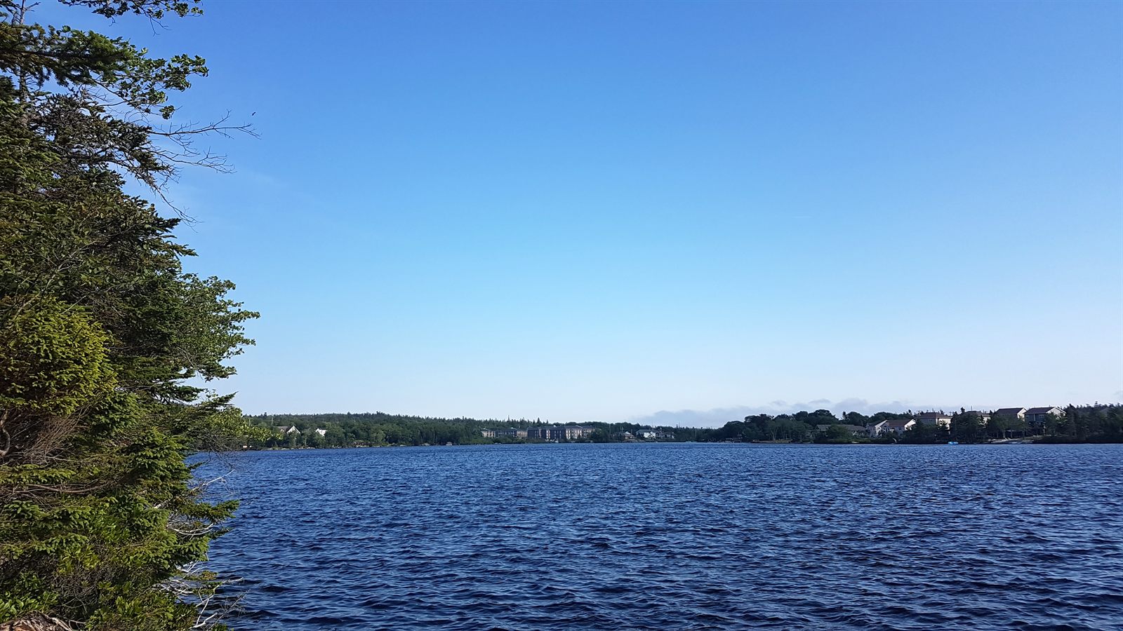 Timberlea